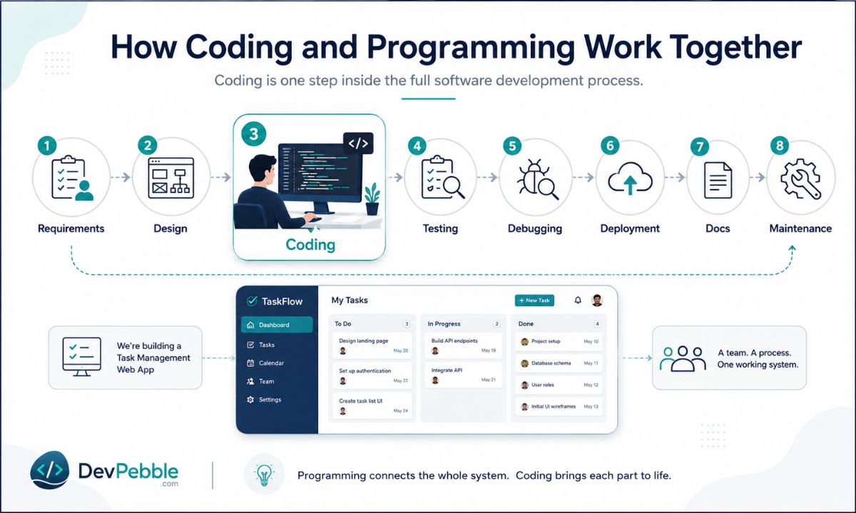 How coding and programming work together — on a real project, coding sits in the middle of a line that runs from requirements analysis and system design through testing, deployment, and maintenance.